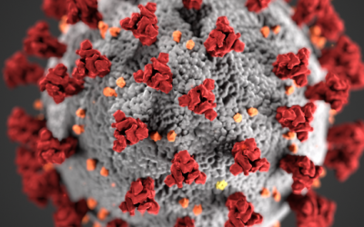 Coronavirus Update 2